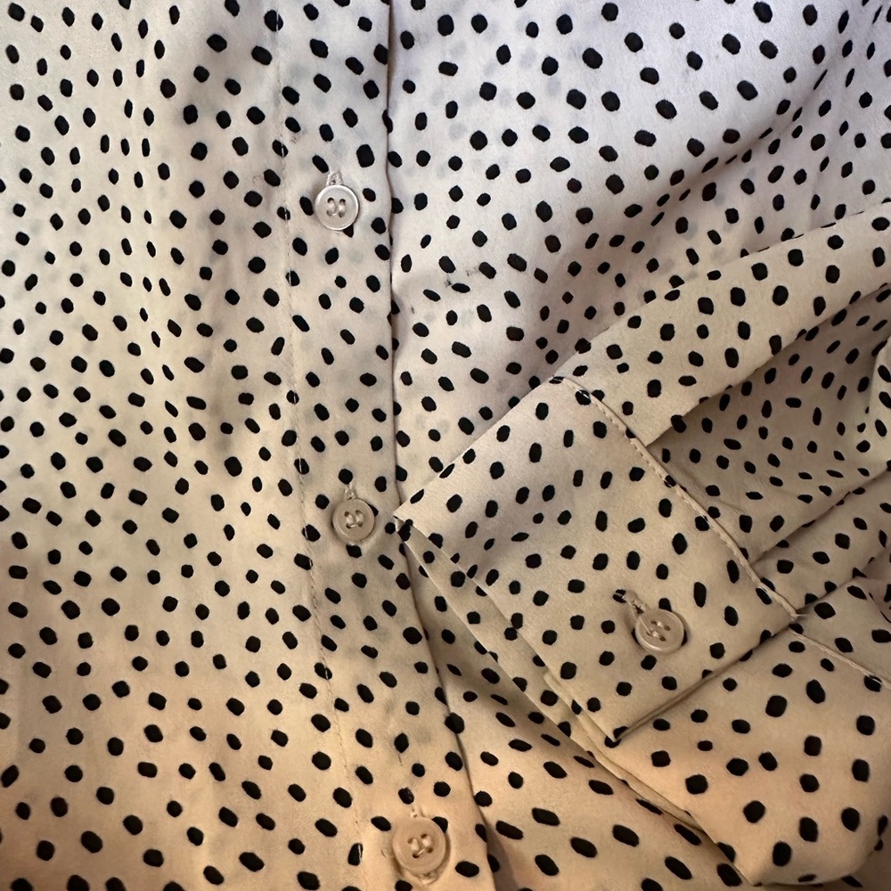Pleione Polka Dot Printed Blouse - Picture 4 of 4